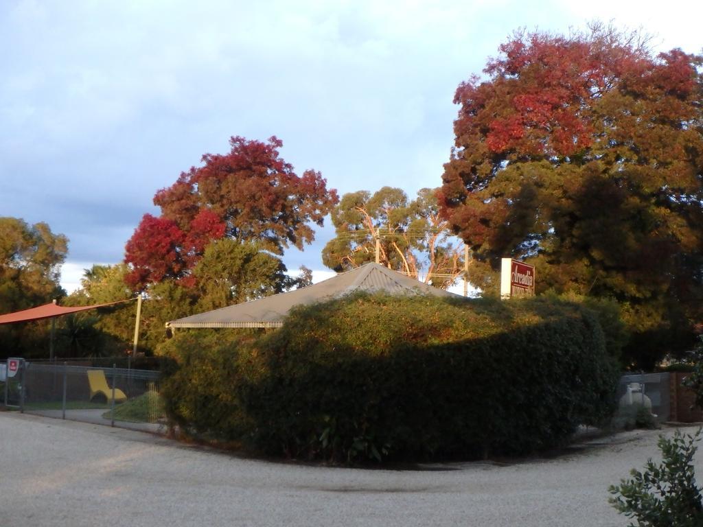 Arcadia Motor Inn Corowa Exterior photo